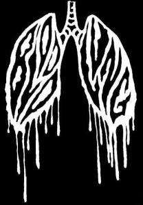 394288_261133273953245_1763250545_n