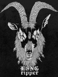 tumblr_mdx1buIJpU1qbi4kfo1_500