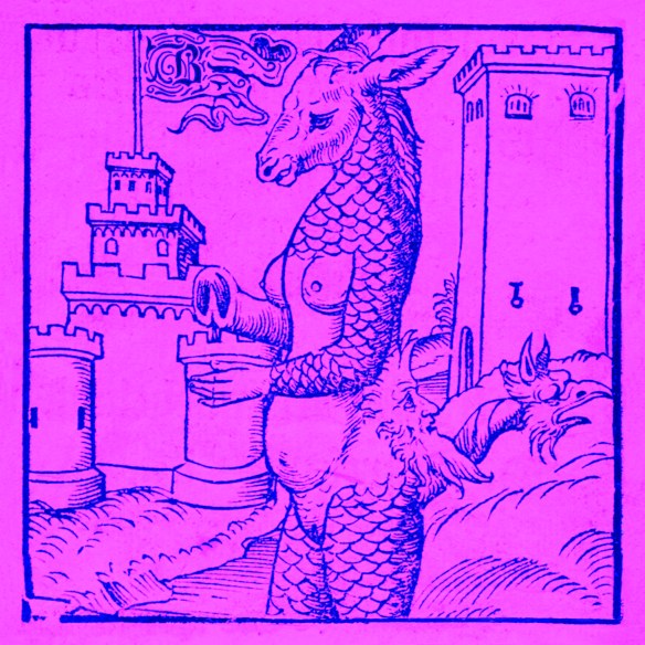 Brume_Donkey_AW_Cover